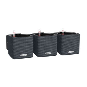 Кашпо Lechuza Green Wall color