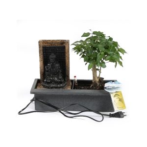 Бонсай Лигуструм с Буддой