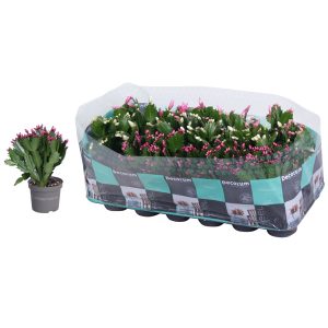 Шлюмбергера микс