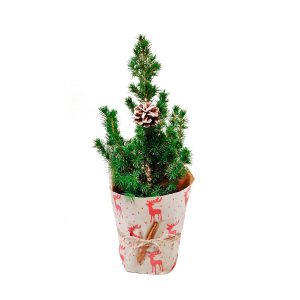 Елочка 35 см