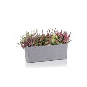 Верески микс + Lechuza Balconera