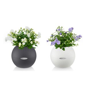 Набор "Жених и невеста" + Lechuza Puro