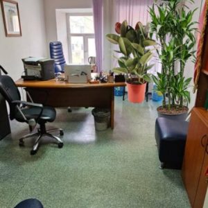 Обычный товар