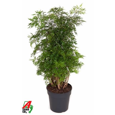 b008304_0000279070_h_1