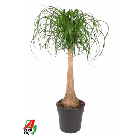 b009132_0000172143_h_1