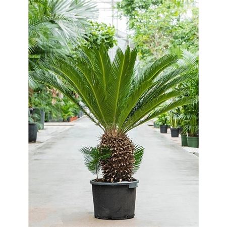 b009200_0000292323_h_1