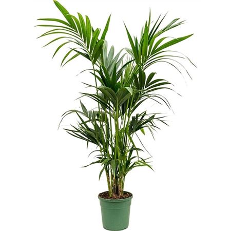 b009358_0000152601_h_1