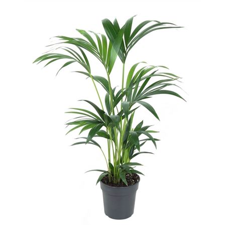 b009358_0000231659_h_1