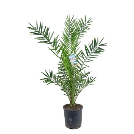 b009491_0000172901_h_1