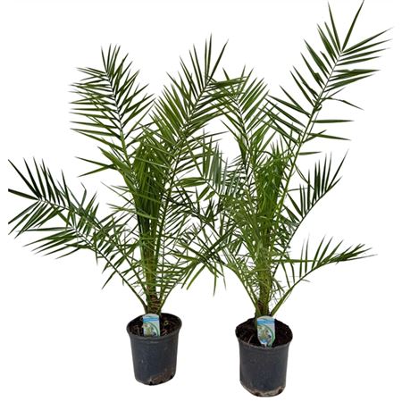 b009491_0000275127_h_1