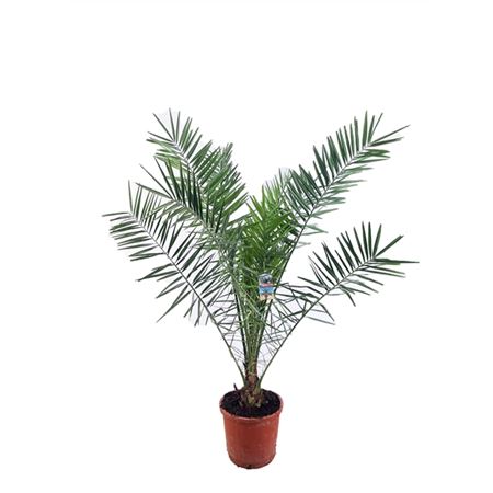 b009491_0000278235_h_1