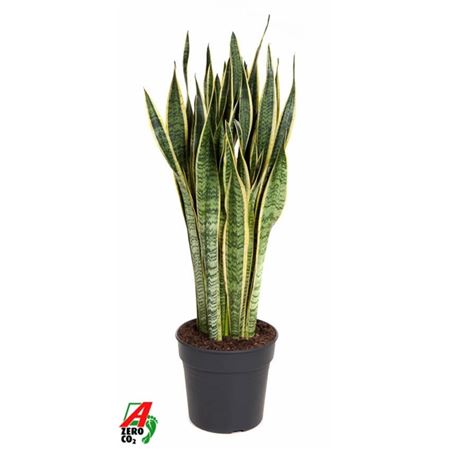 b009569_0000287814_h_1