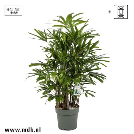 b020873_0000281802_h_1