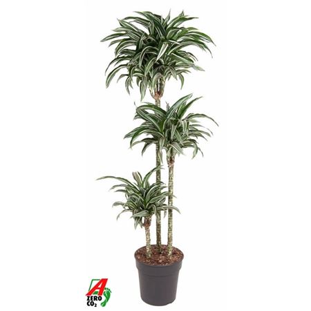 b024917_0000295713_h_1