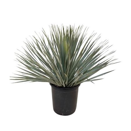 b054308_0000292766_h_1