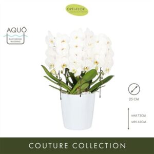 Фал Джапансе Моунтаин белая Керамик (опти)