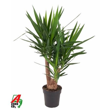 b114322_0000241802_h_1