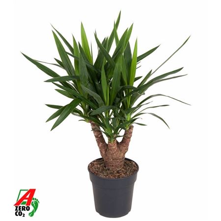 b114322_0000272835_h_1