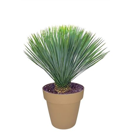 b114322_0000277995_h_1