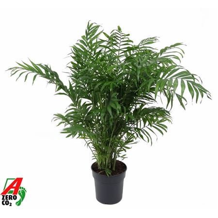 b114858_0000287802_h_1