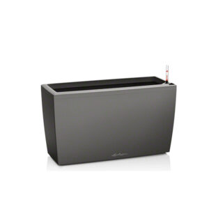 Кашпо Lechuza Cararo