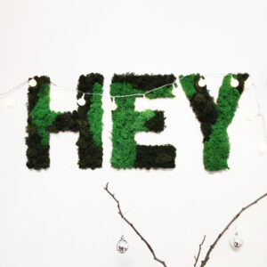 Буква из мха