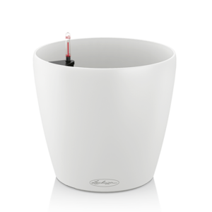 Кашпо Lechuza Classico Color